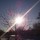 carol_johnson11