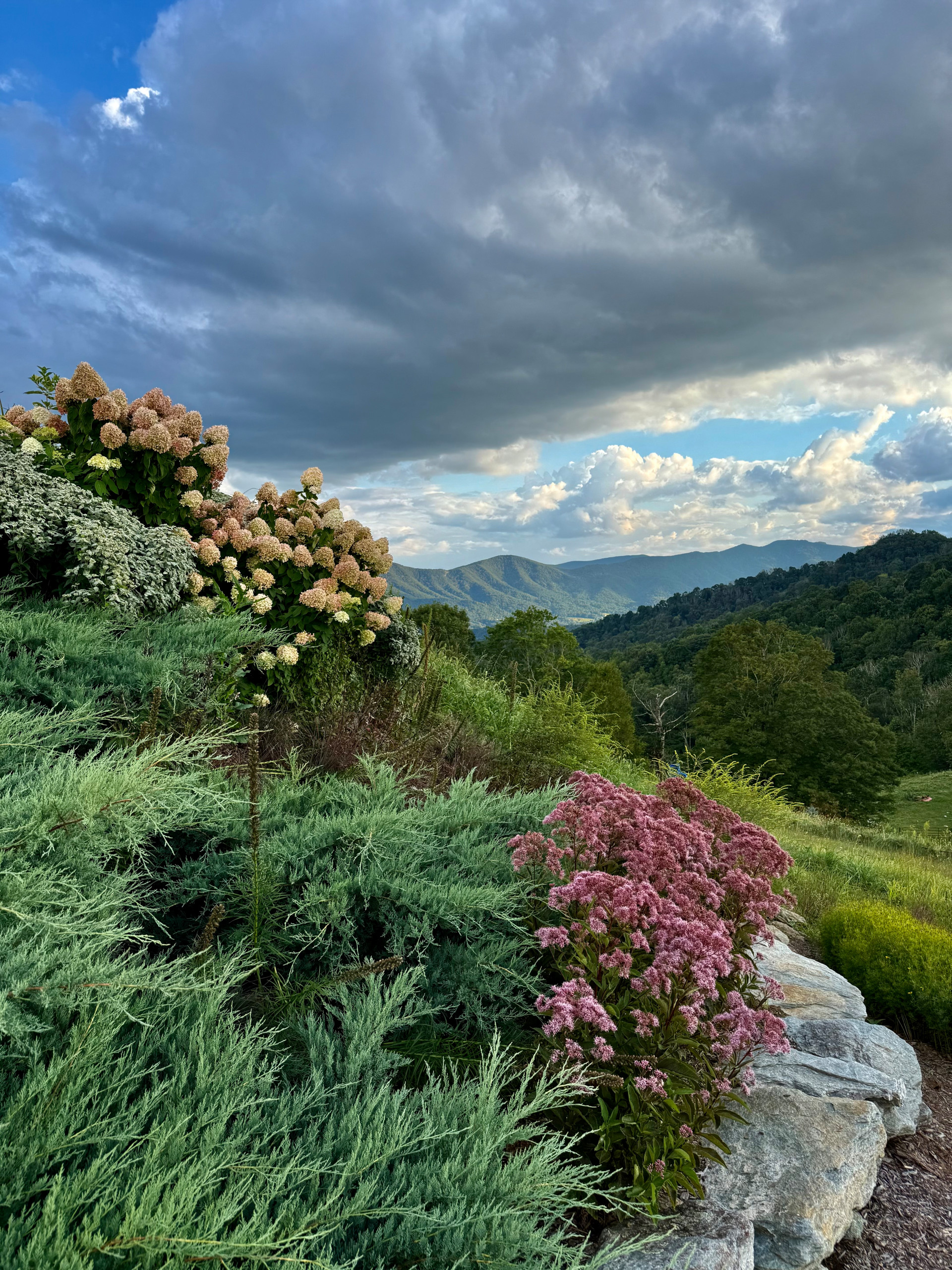 Mountain Top Magic