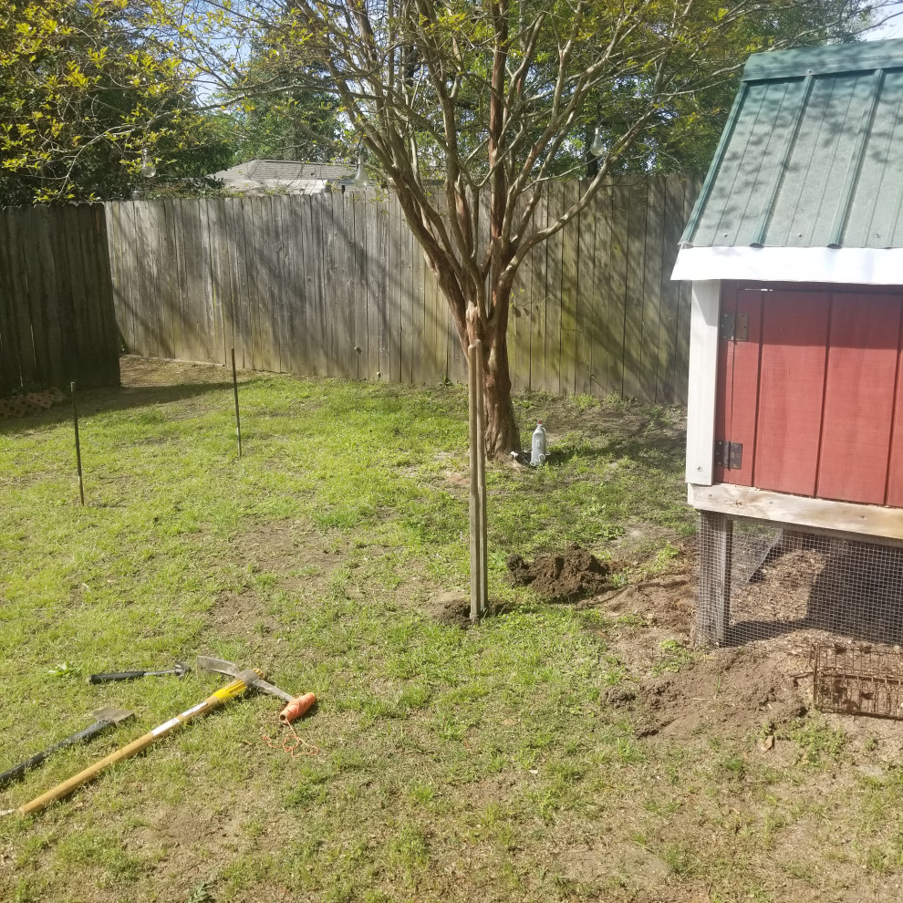Before | Chicken Run