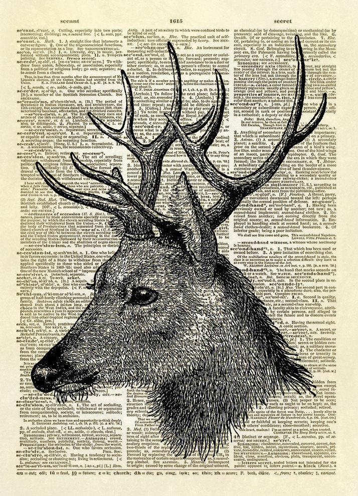 3 X Vintage Stag Deer Head Dictionary Page Print Wall Art Pictures Oak Framed 