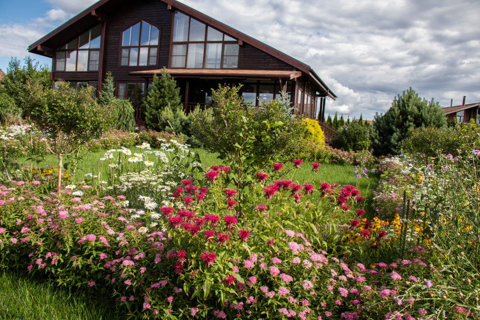 Сосновые берега