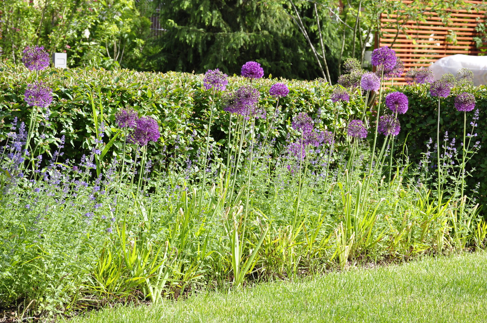 кп "Фортопс" - Профессиональный уход за садом - 100% качество!