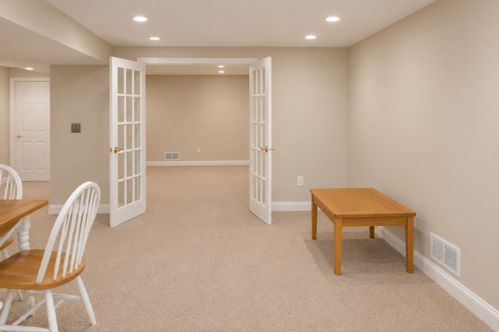 Ann Arbor - Basement Family Space, Guest Room & Egress Window