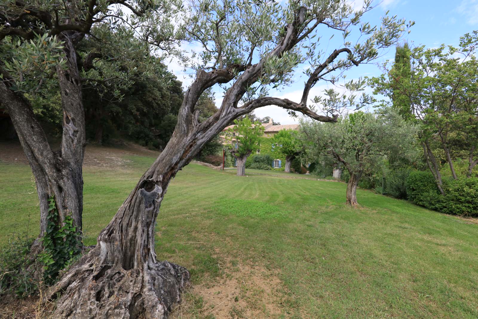 Красивый сад