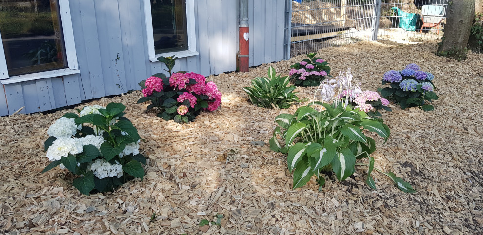 Kleiner, Halbschattiger Klassischer Vorgarten im Sommer in Stuttgart