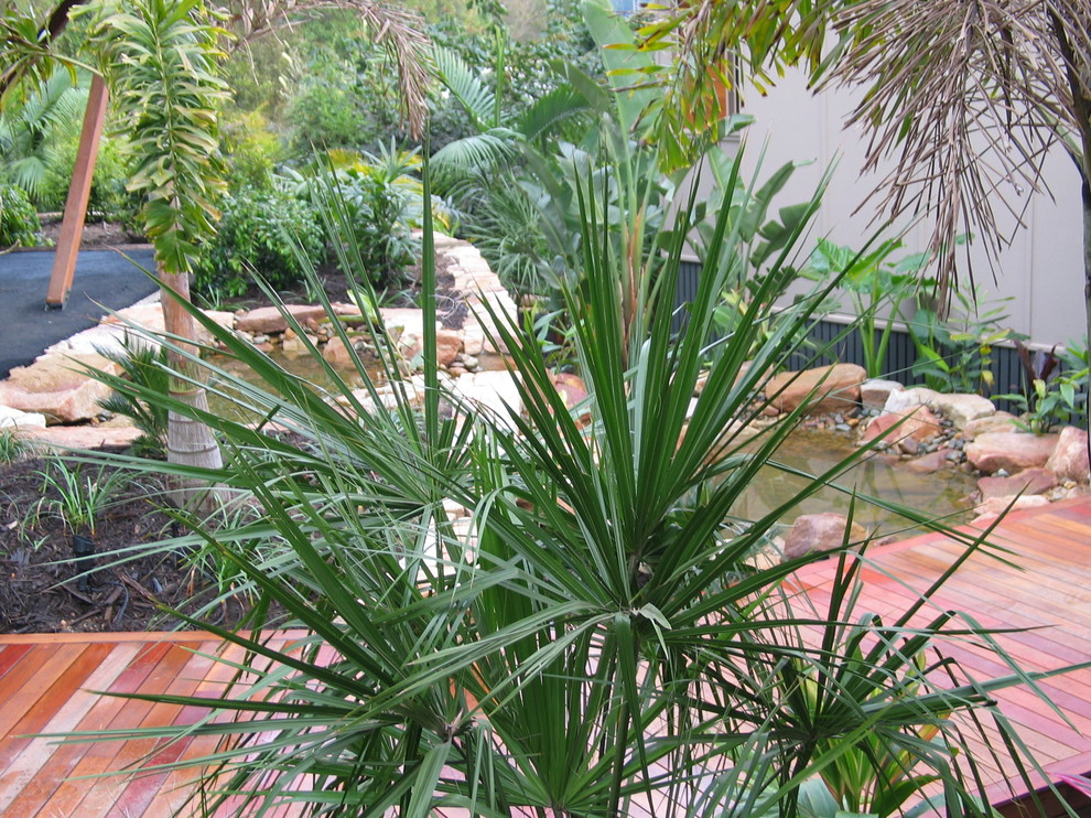 This is an example of a tropical garden in Sunshine Coast.