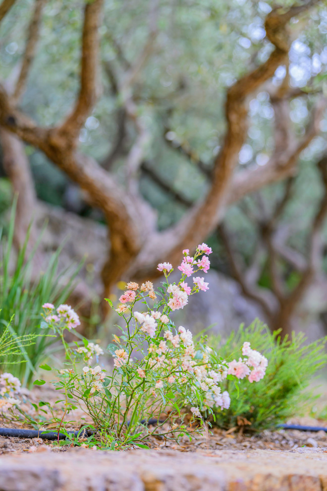Jardin de Bastide dans le haut-Var