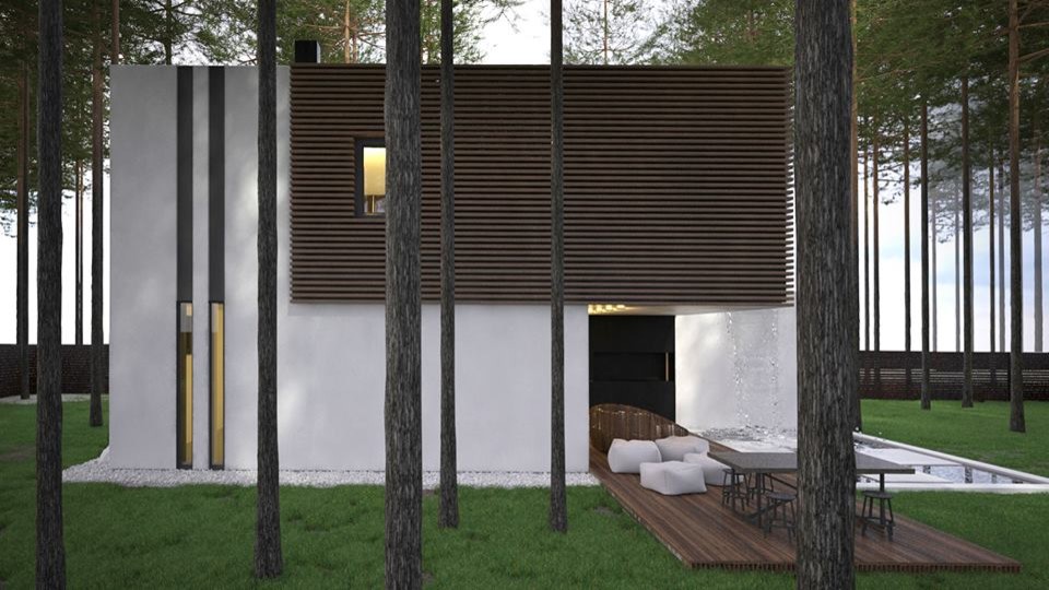 Дом в сосновом лесу / House in the forest