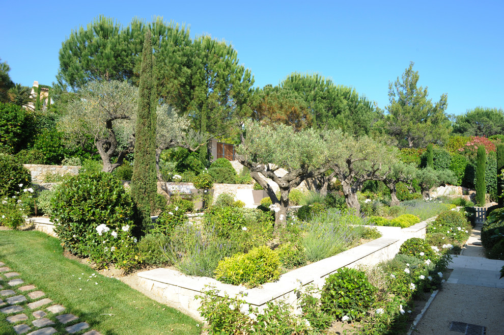 Cette photo montre un jardin méditerranéen.