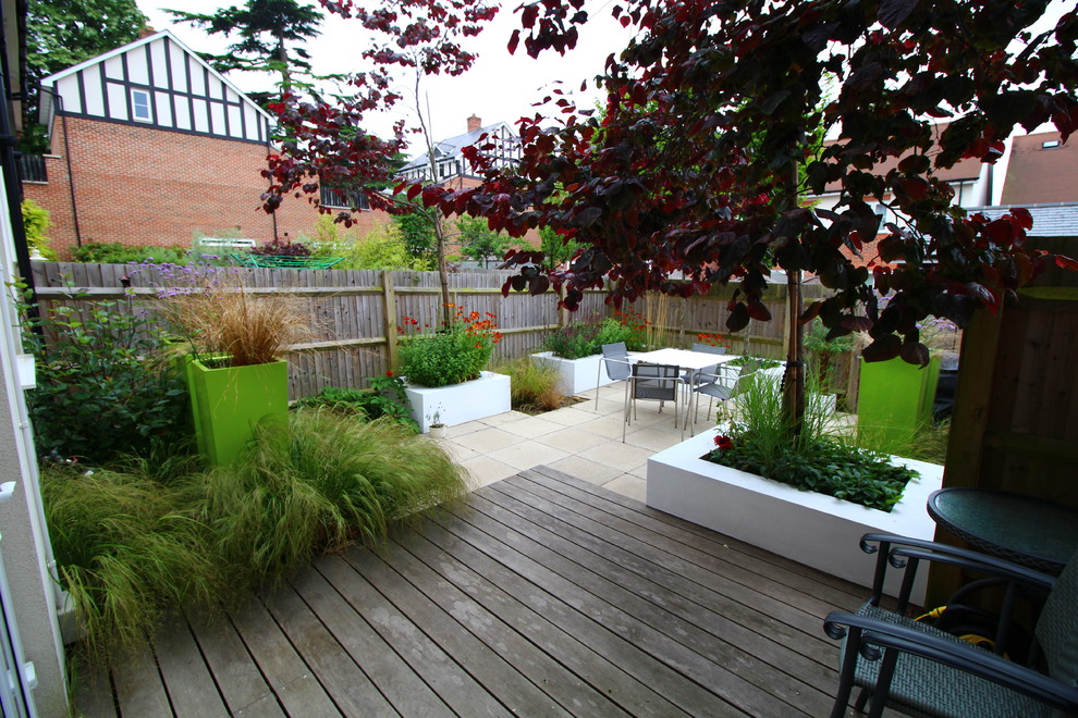 Inspiration for a small modern courtyard patio in Surrey with a container garden, concrete pavers and no cover.