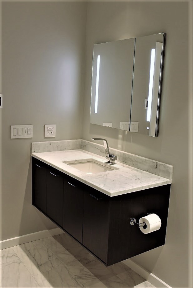 Transitional home design photo in Chicago