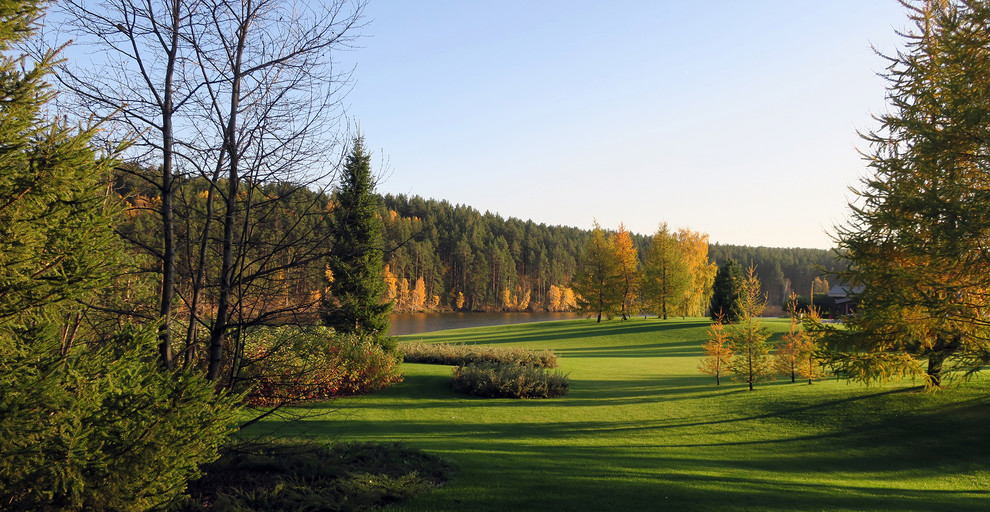 Новый пейзаж