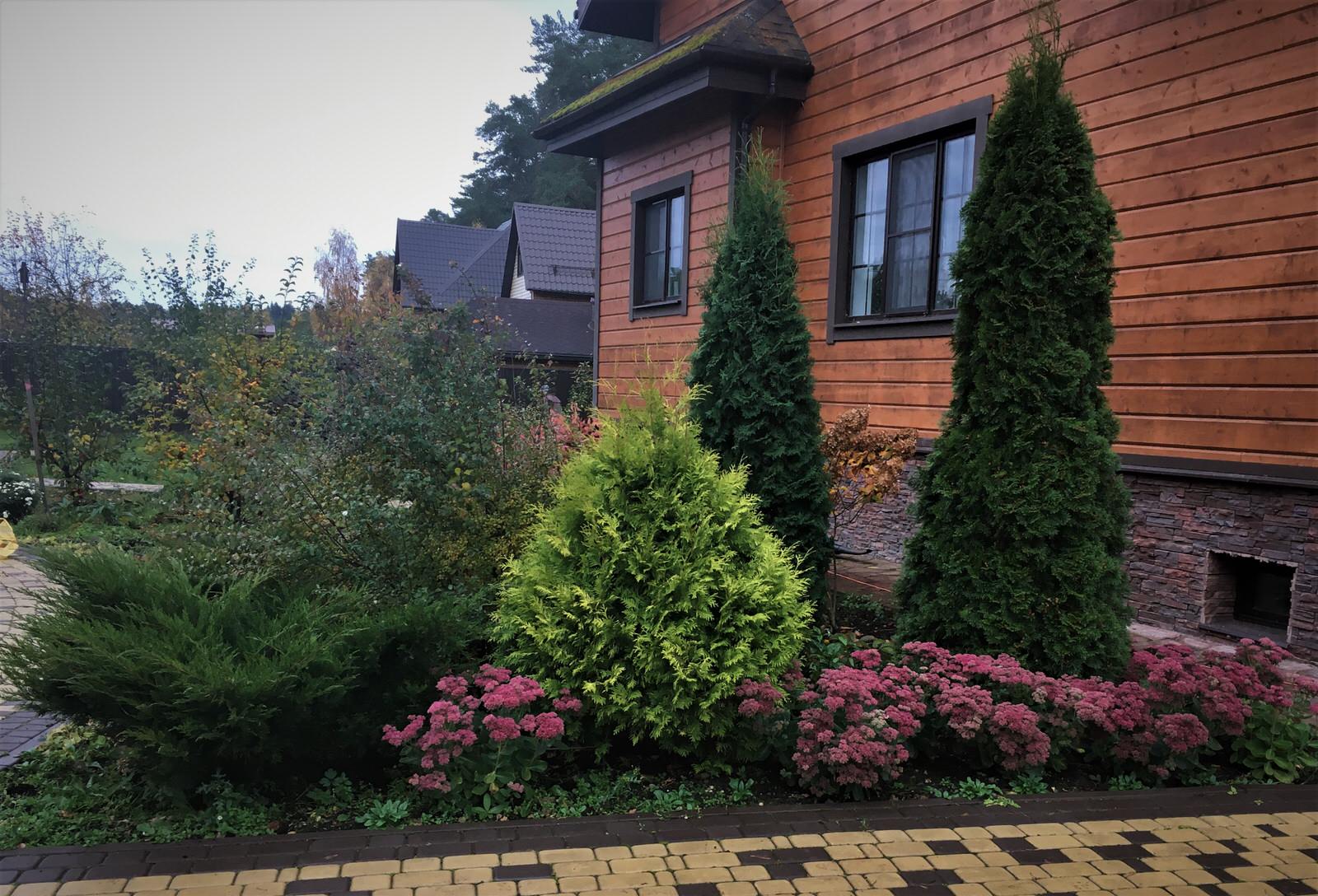 Васильевское