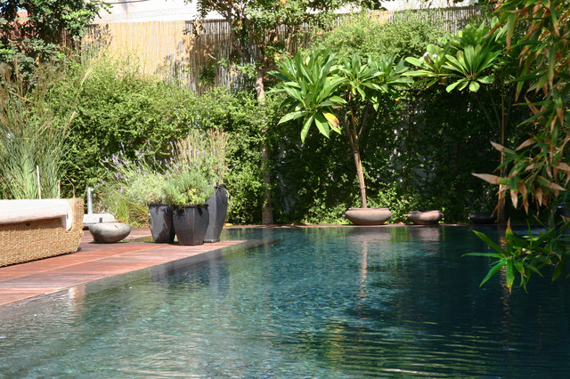 itamar 1 asiatisk-pool