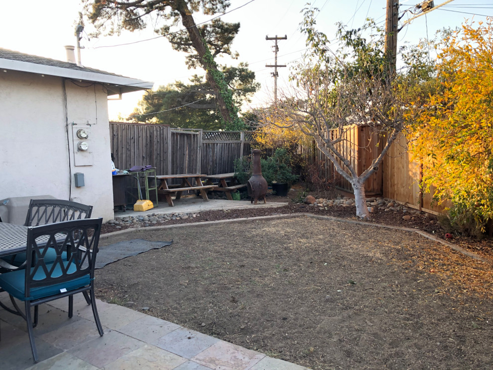 Backyard Before