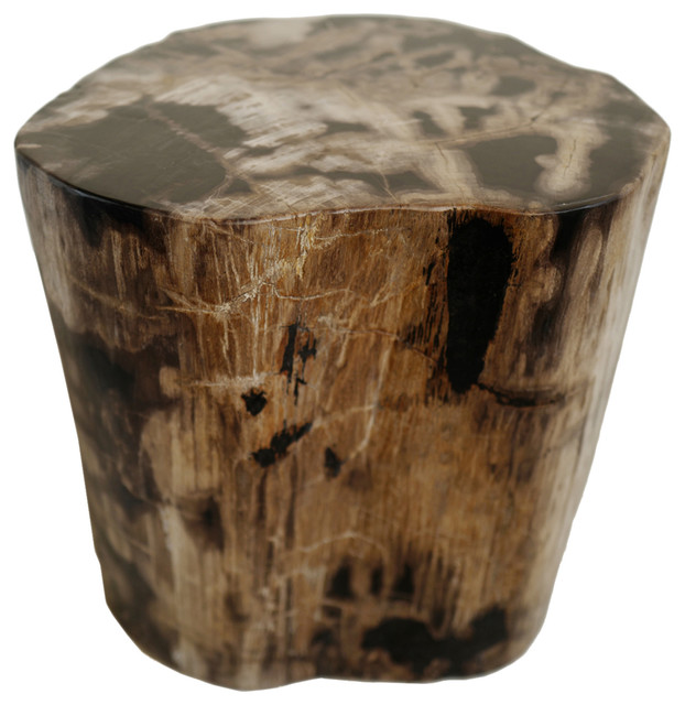 Petrified Wood Stool Rustic Accent And Garden Stools By
