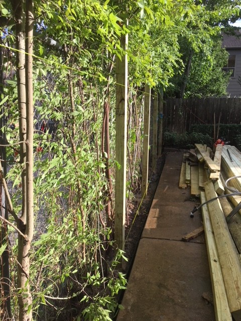 550' Perimeter Cedar Fence Replacement