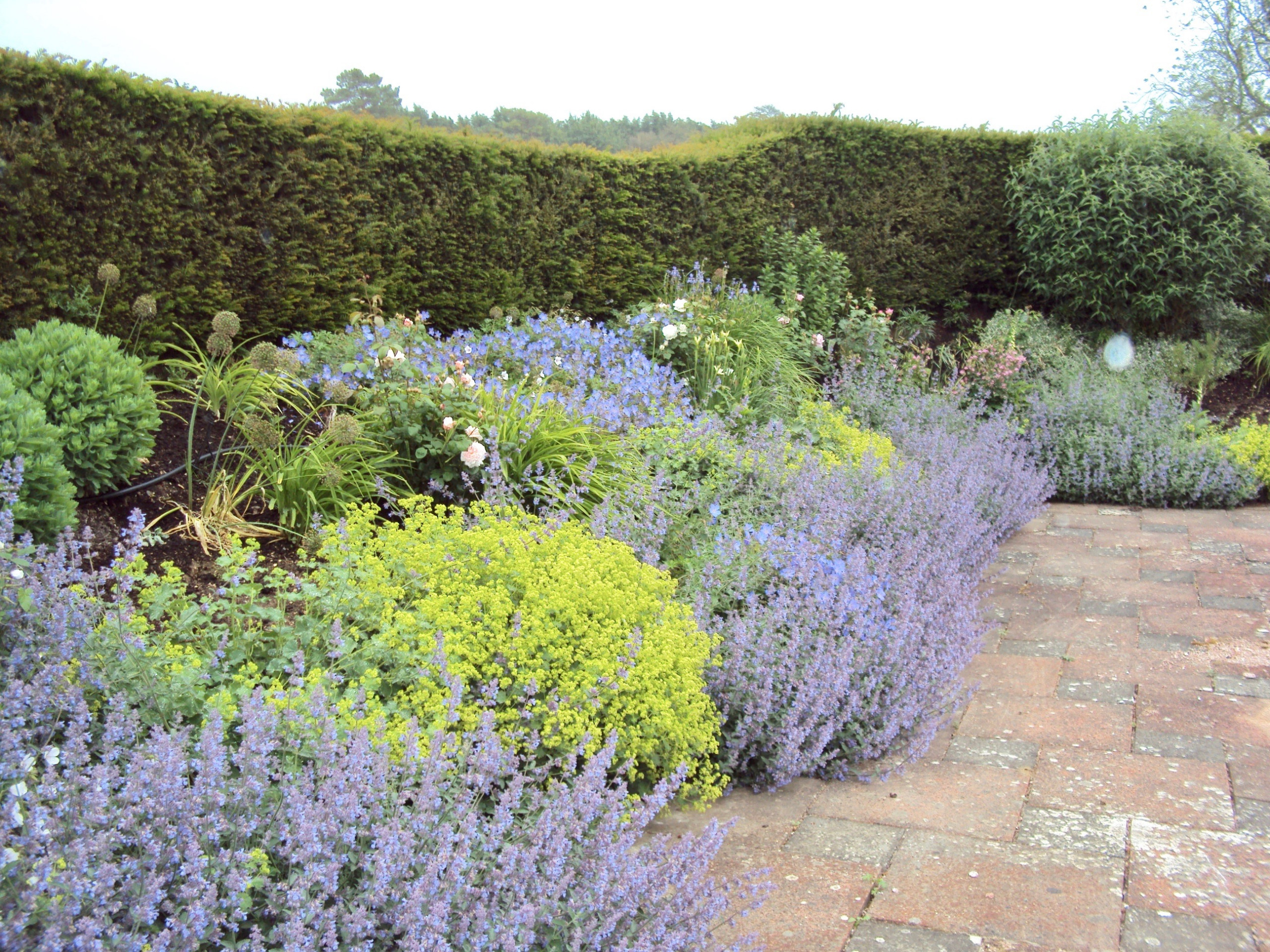 English Country Garden