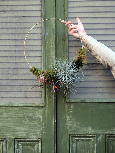 DIY: Holiday Air Plant Wreath