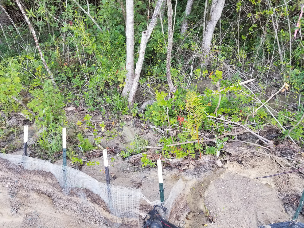 HWY EXT (Erosion Repair)