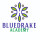 Bluedrake Academy
