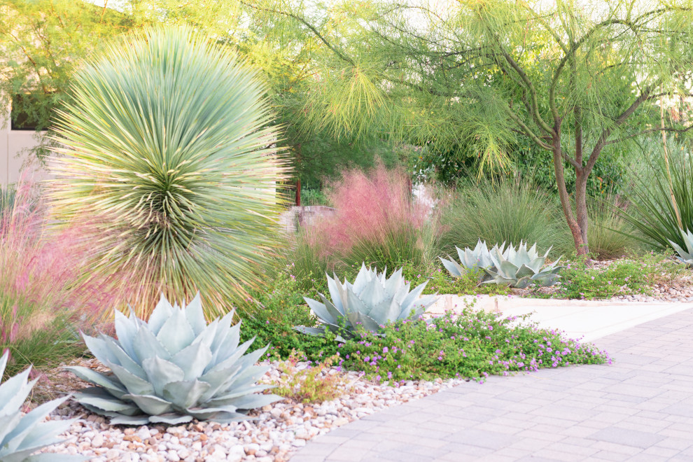 Inspiration for a large contemporary front yard full sun xeriscape for fall in Austin with a garden path and river rock.