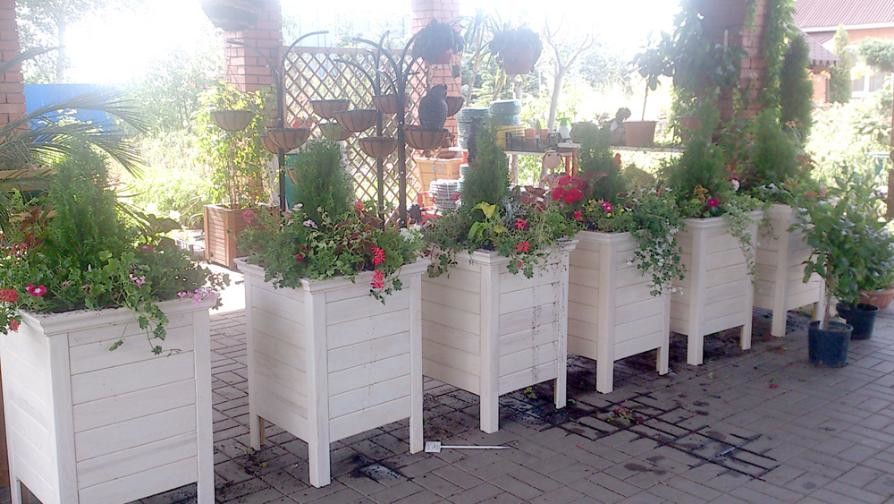 Контейнерное озеленение