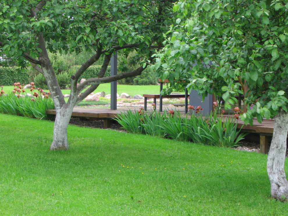 Photo of a contemporary garden in Other.