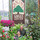 Ganim's Garden Center and Florist, LLC