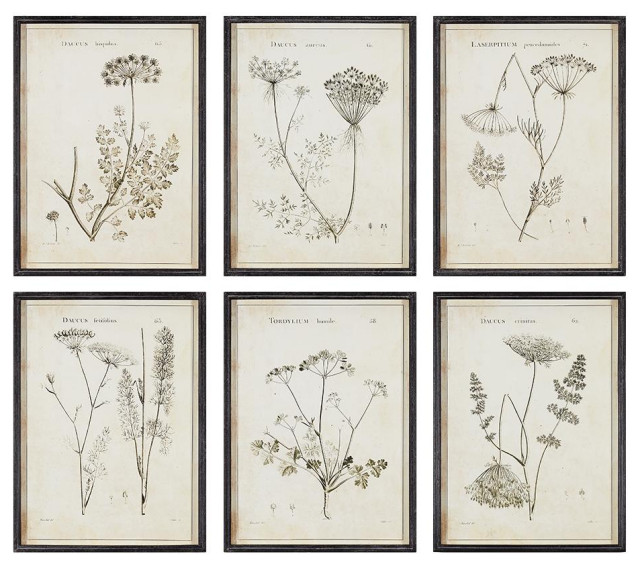 Set of 6 Black White Wild Flower Prints Vintage Style 24 in Wood Frame Gray