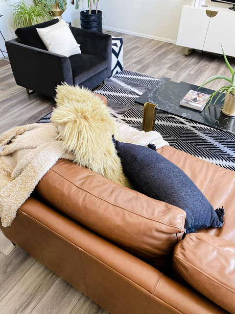 Perez Living & Bath | Aurora, CO | Contemporary Main Floor Remodel