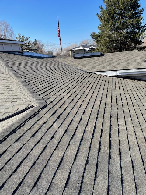 Cotton Wood Roofing Project