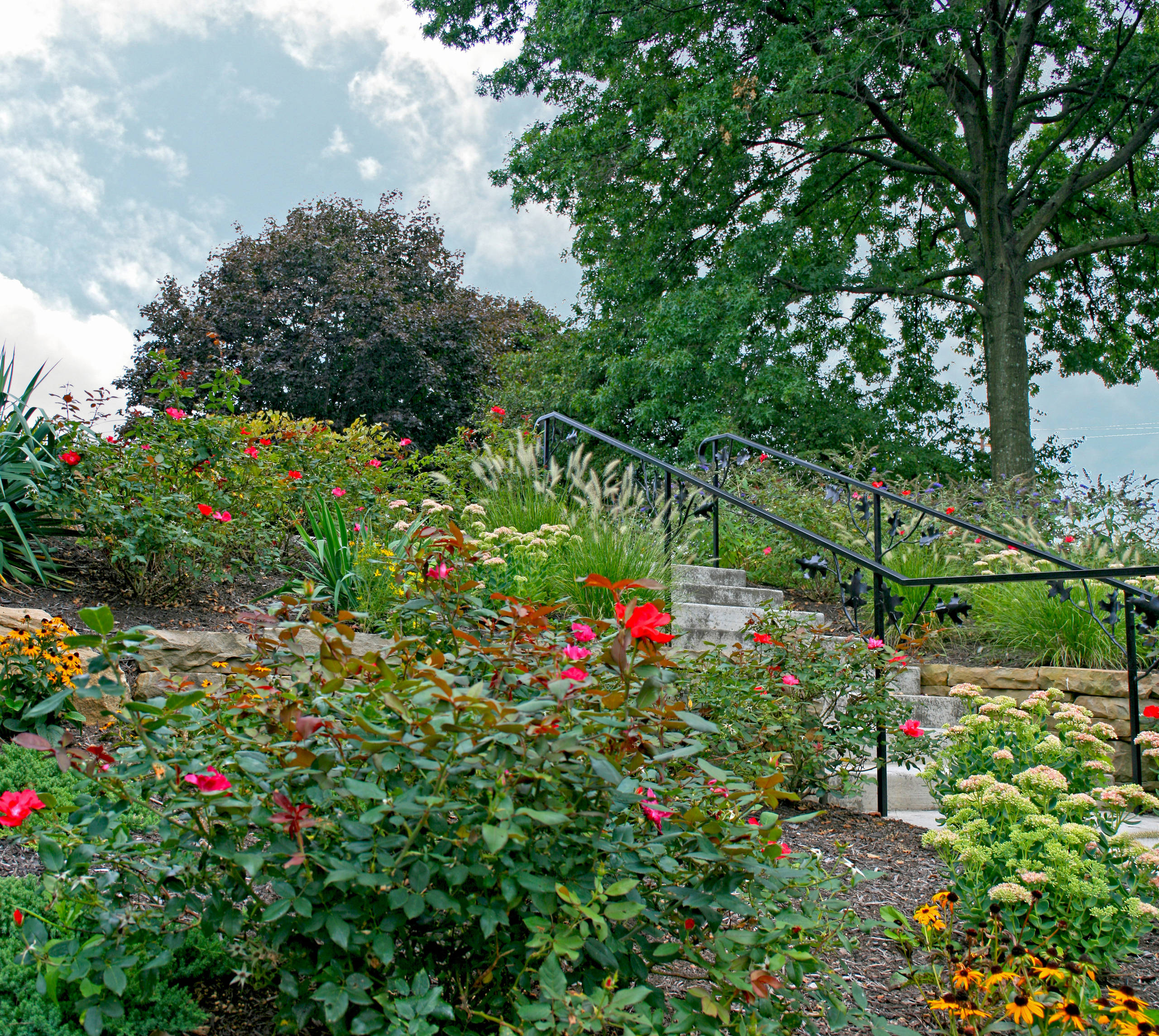 Sloped Front Yard Planting