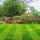 Greene Lawn & Property Management