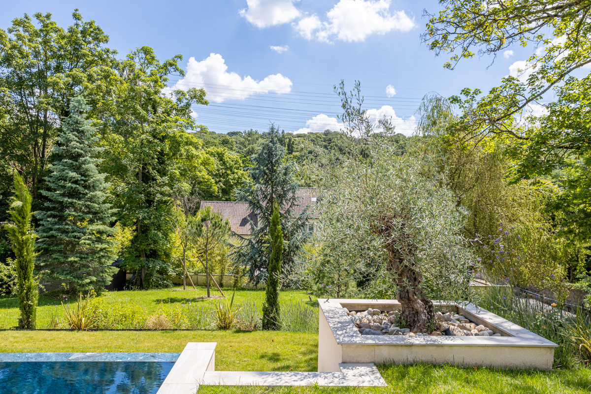 Création d'un grand jardin avec piscine