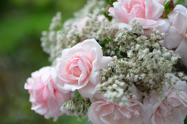 Sweeten a Summer Garden With Pink Flowers