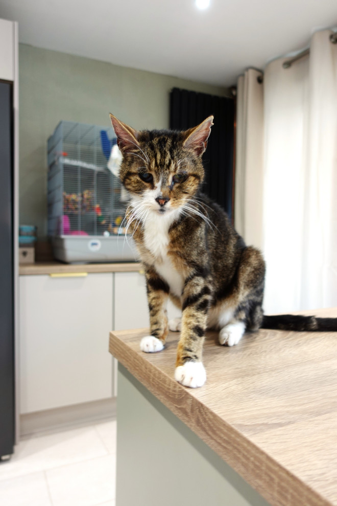 The Barwell Kitchen II - Sodermalm - RRP £20,000 - Luxe Price £17,900