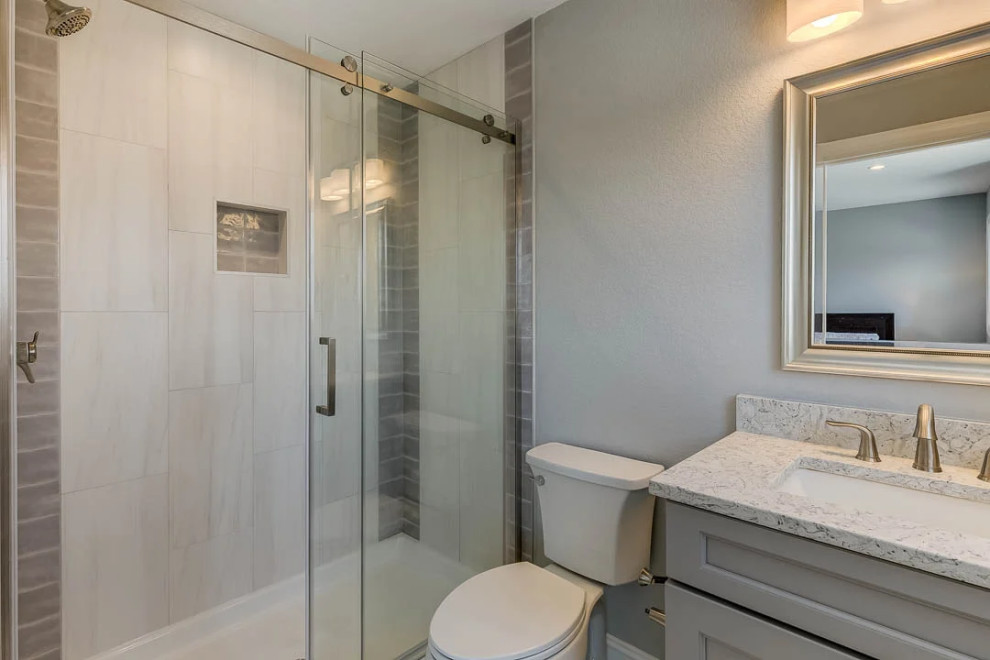 Dolphin Watch (2023)