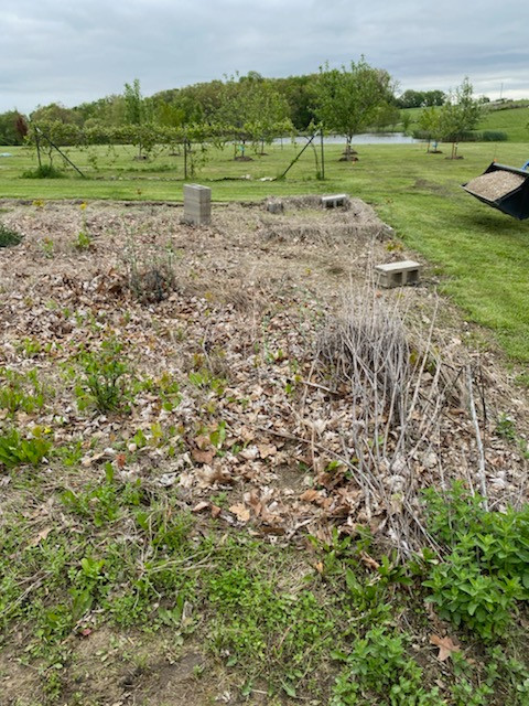 Raised Planter Beds