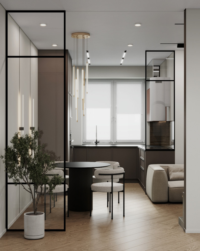 Проект квартиры для двоих. г.Брянск