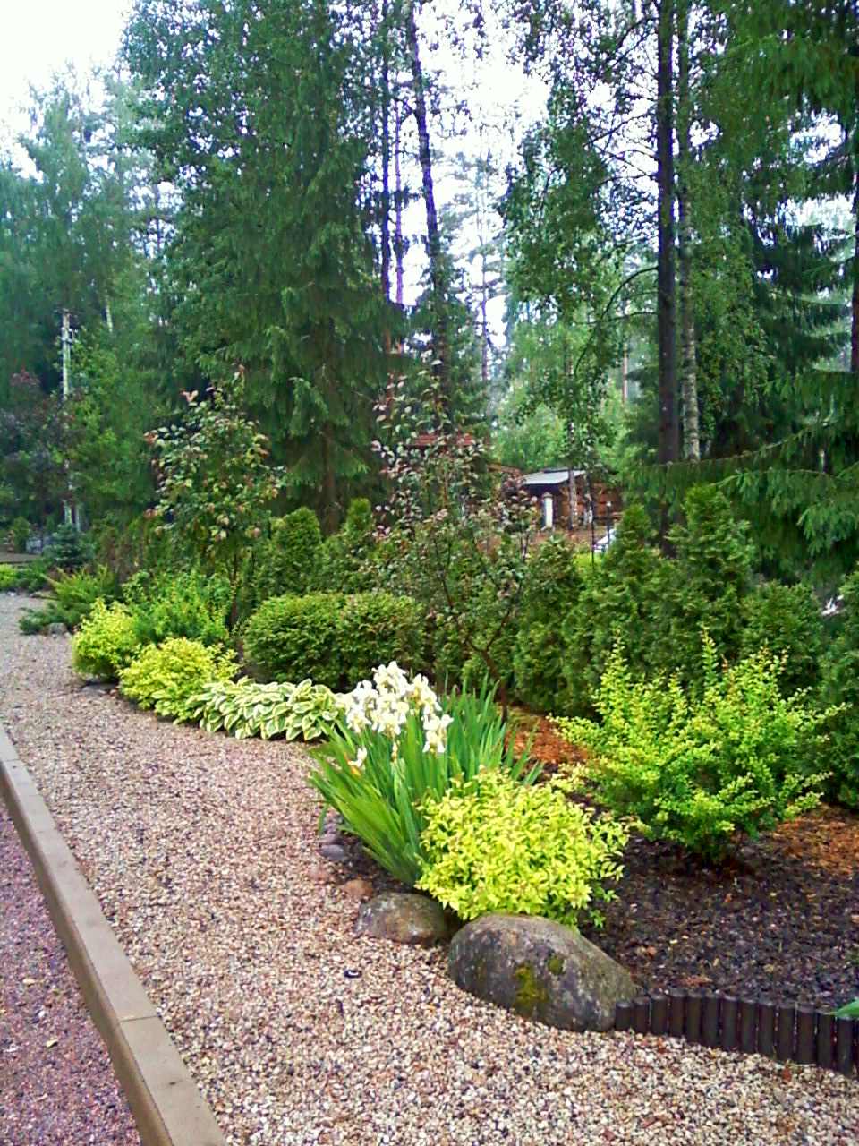 Сад с японским влиянием