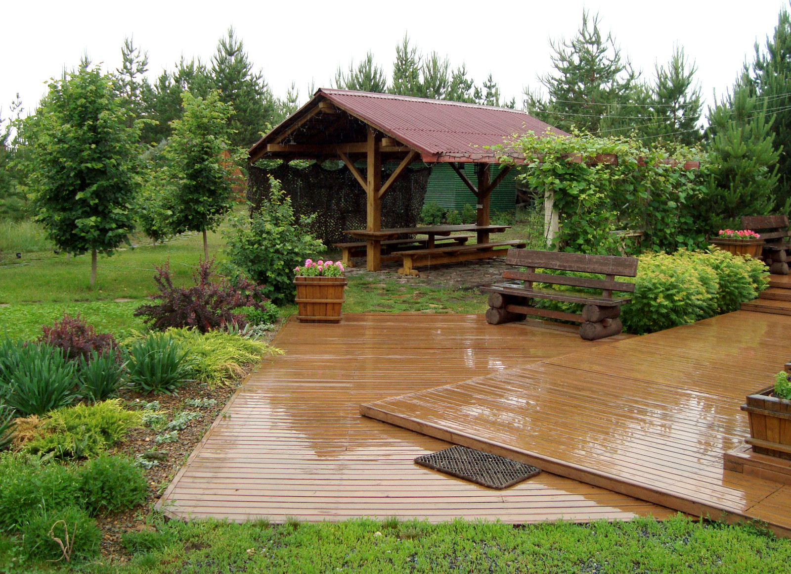 "Сад солнечного ветра"