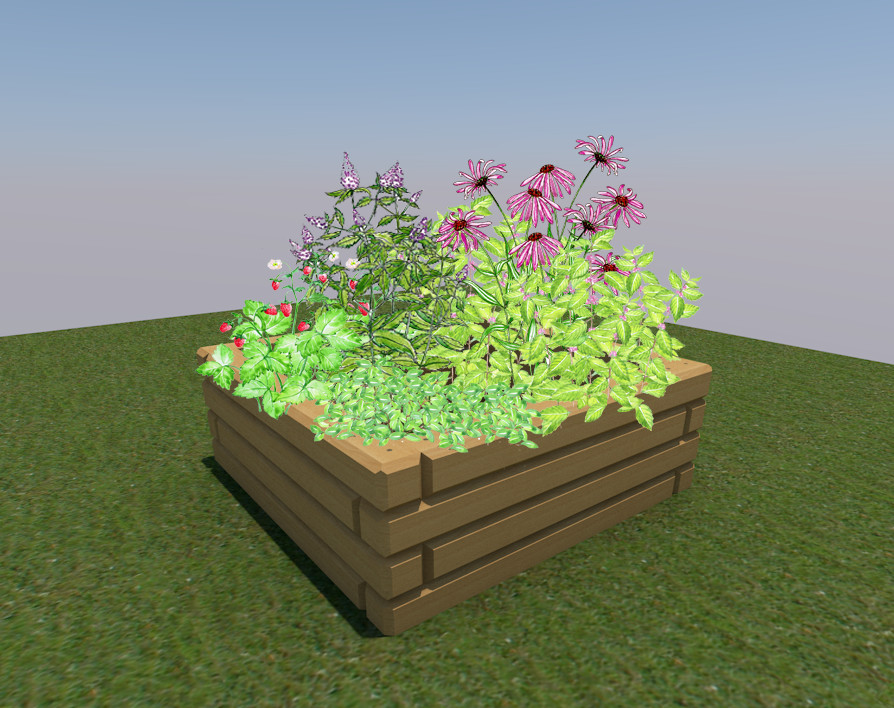 Грядки из лиственницы