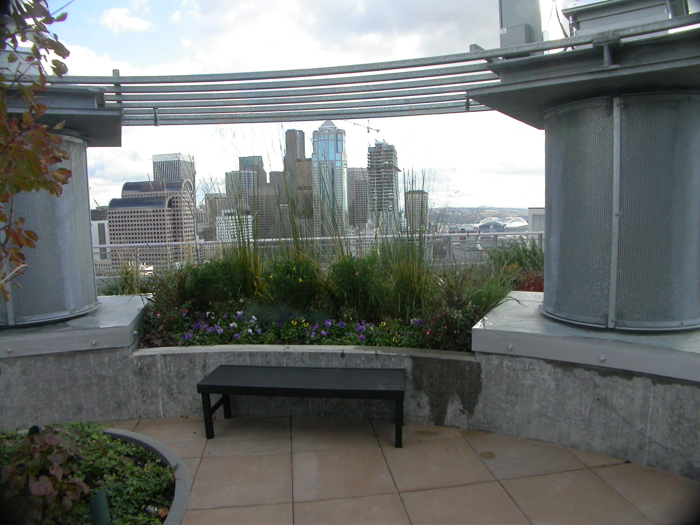 Cristalla Roof Garden - arbor and plantings framing the view