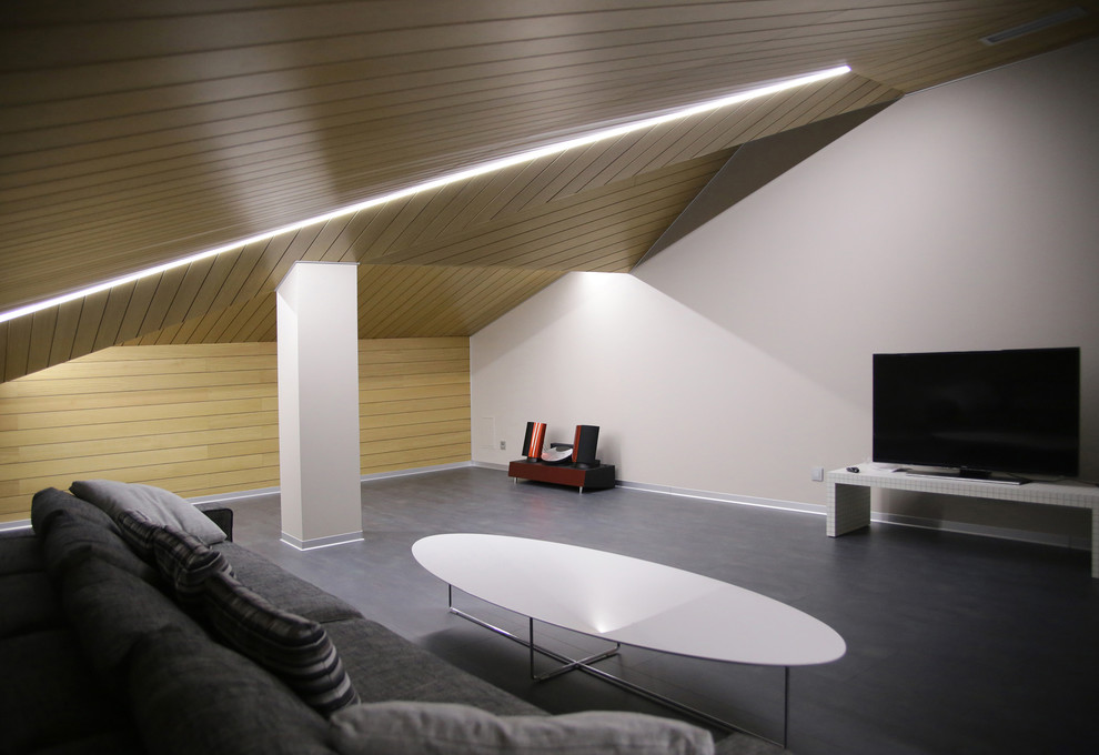 мансарда СКАТ