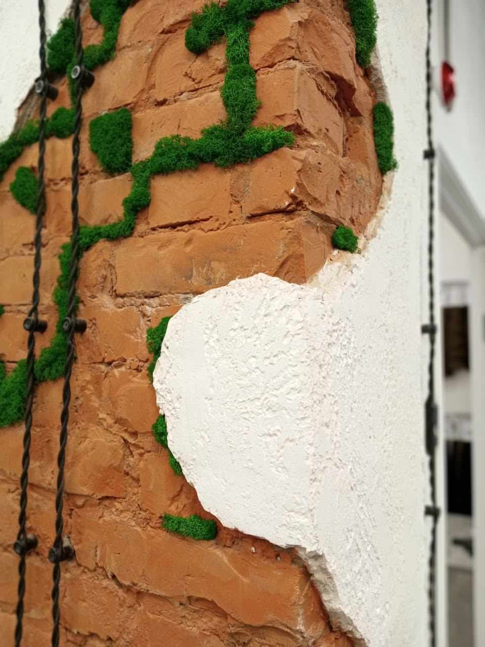 HAIR STUDIO OLGA ORLOVA