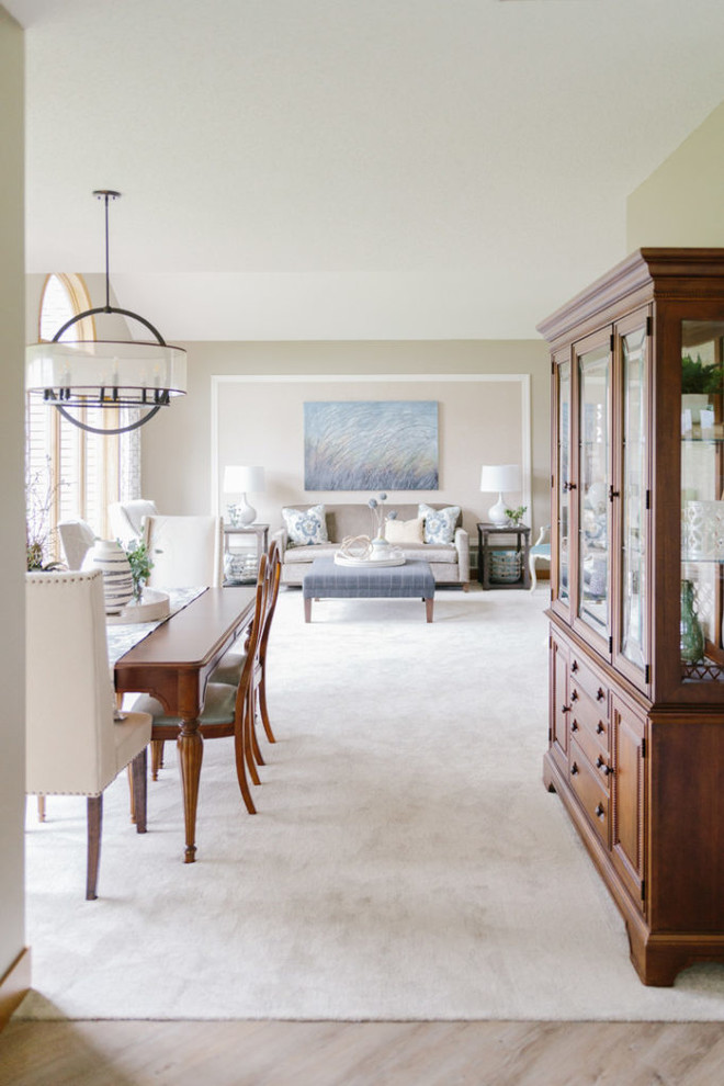 Inspiration for a transitional living room remodel in Minneapolis