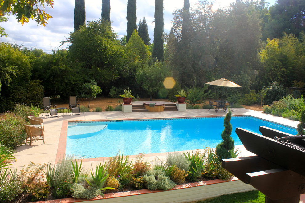 Design ideas for a mediterranean pool in Sacramento.
