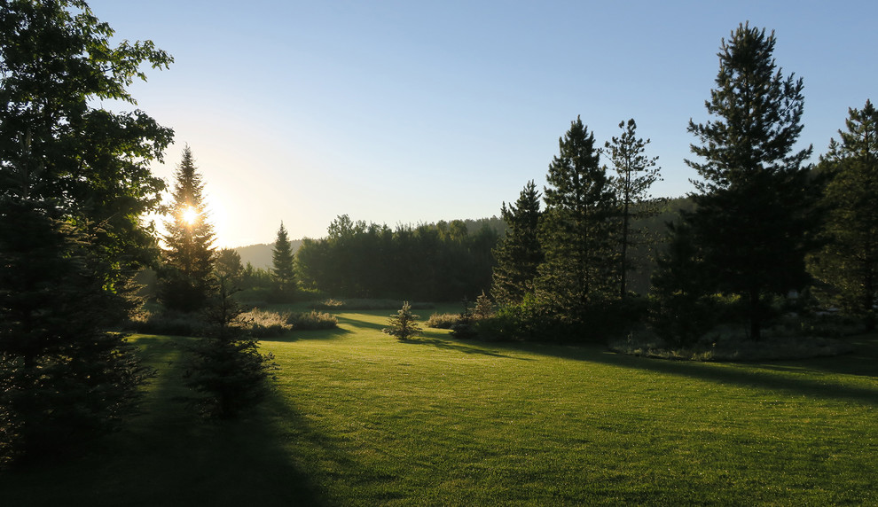 Новый пейзаж