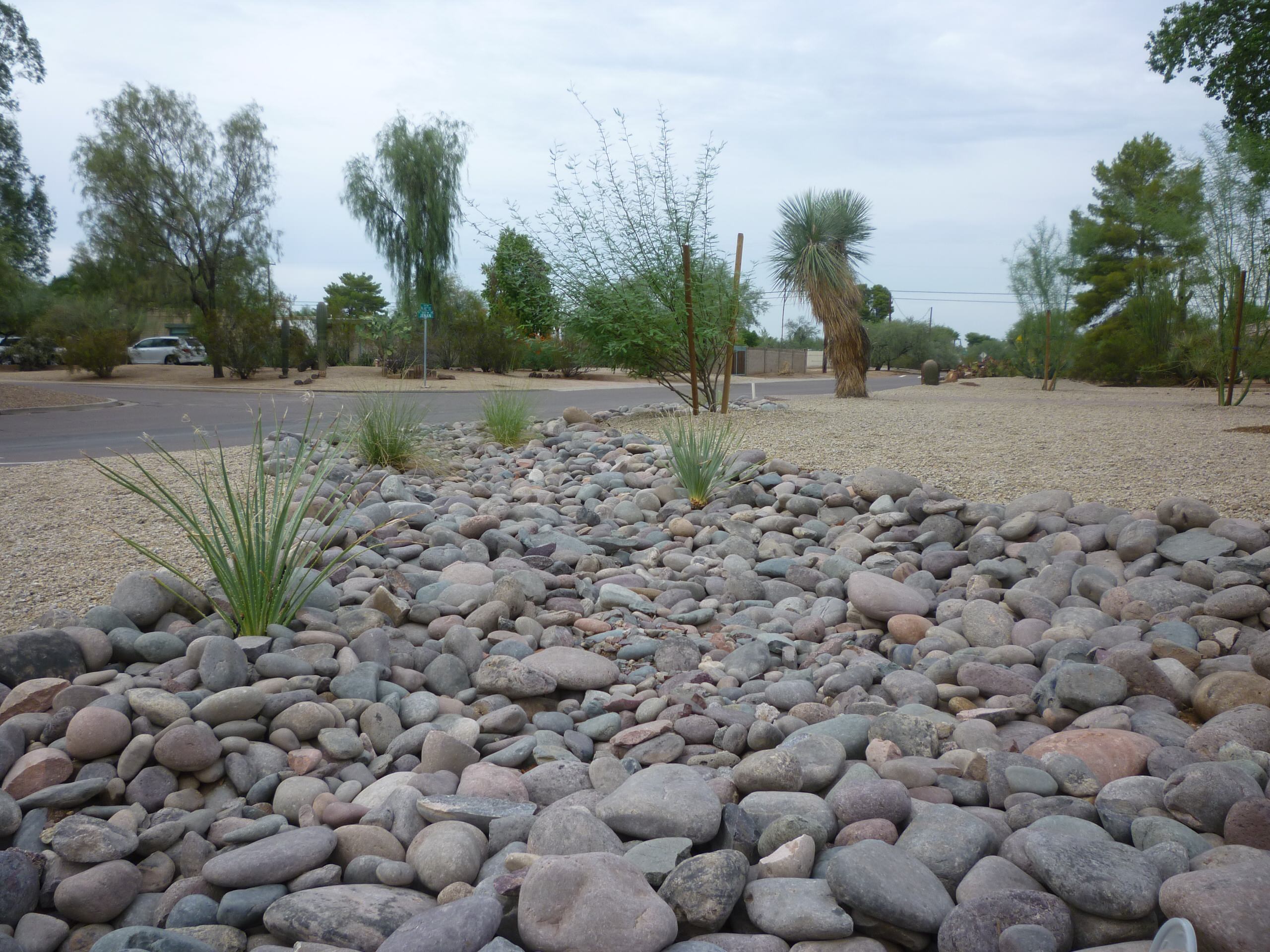 Dry Stream Bed w/ Plantings